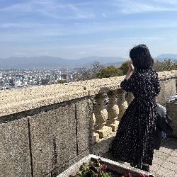 写真